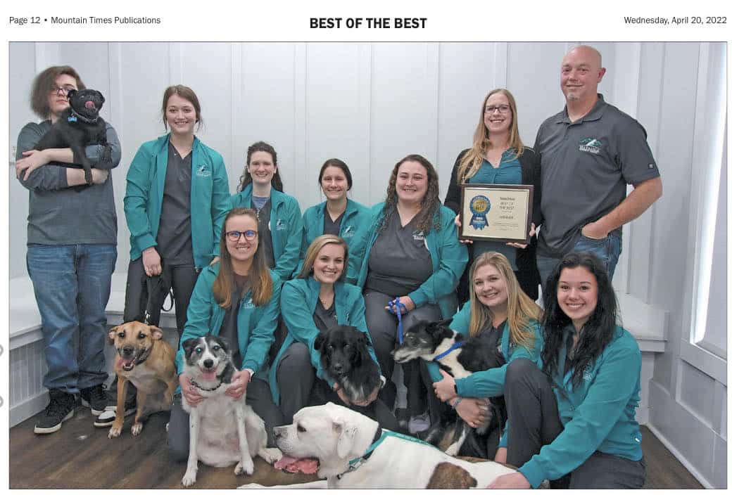 Watauga Veterinary Hospital team