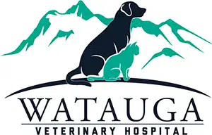 Watauga Veterinary Hospital